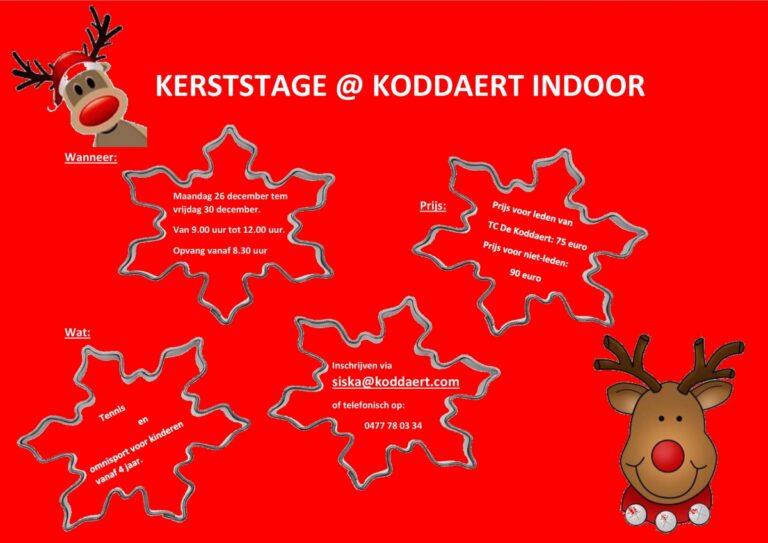 Kerststage @koddaert indoor